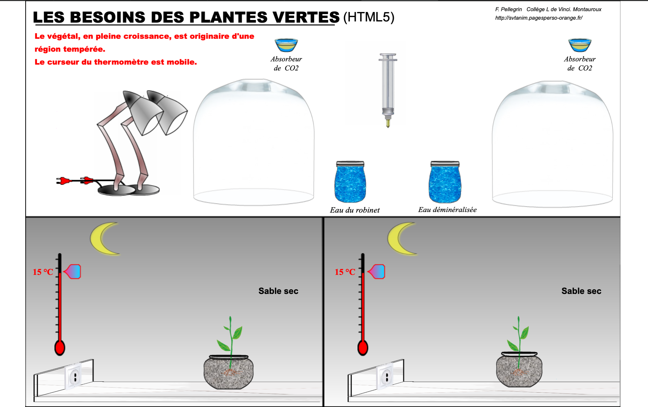 besoins_plantes.png